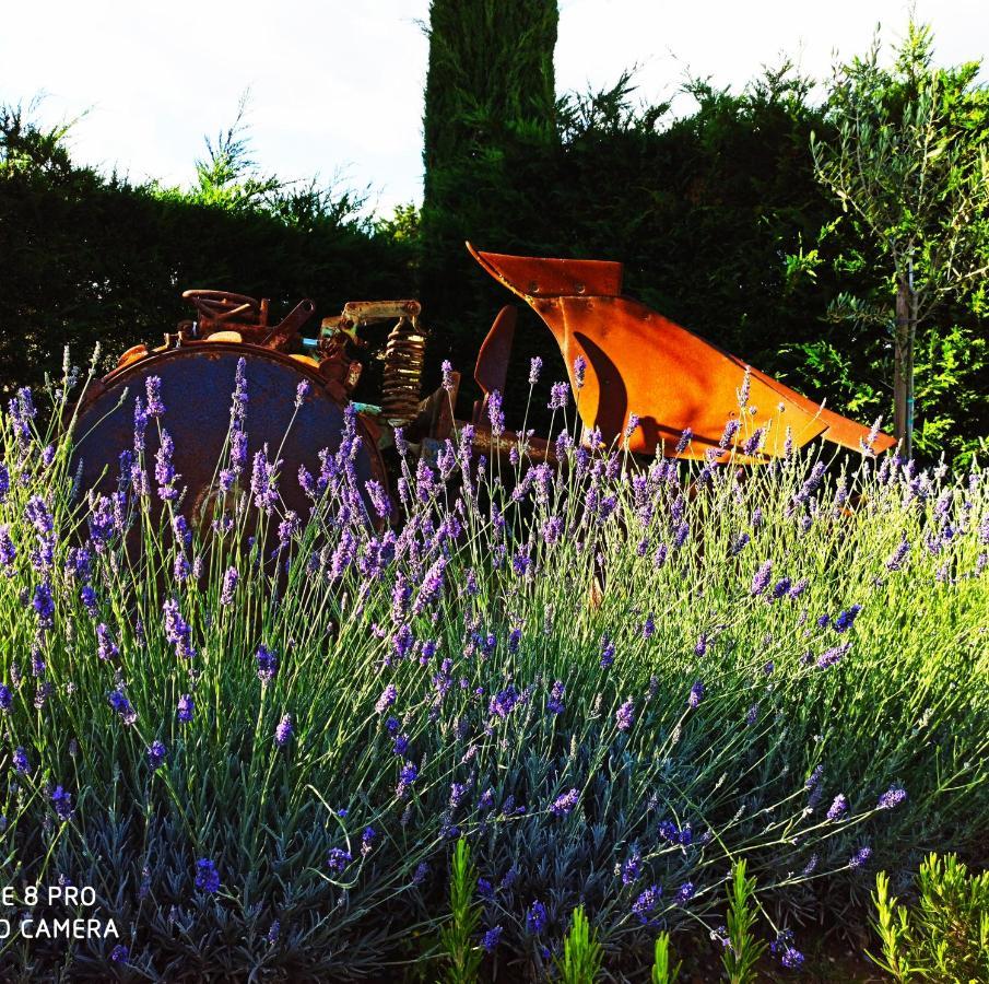 Rocca Degli Olivi Bed & Breakfast San Gimignano Dış mekan fotoğraf