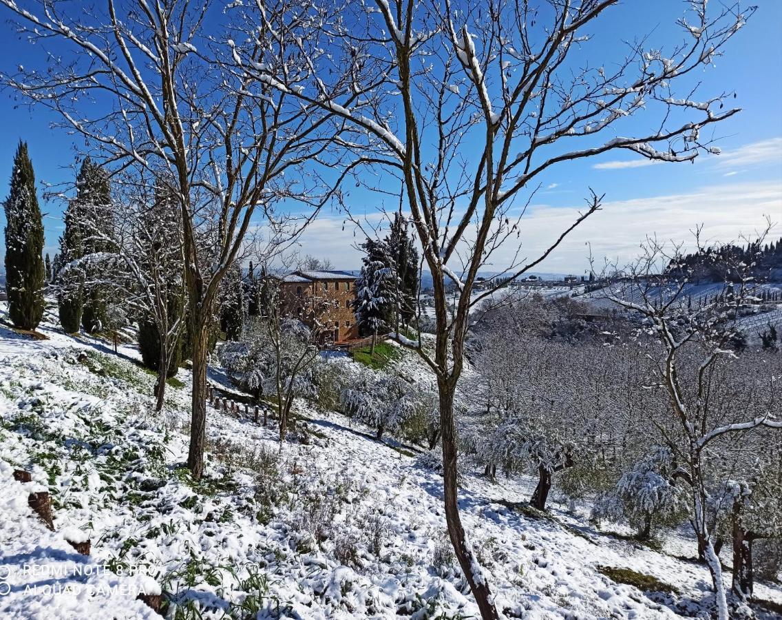 Rocca Degli Olivi Bed & Breakfast San Gimignano Dış mekan fotoğraf