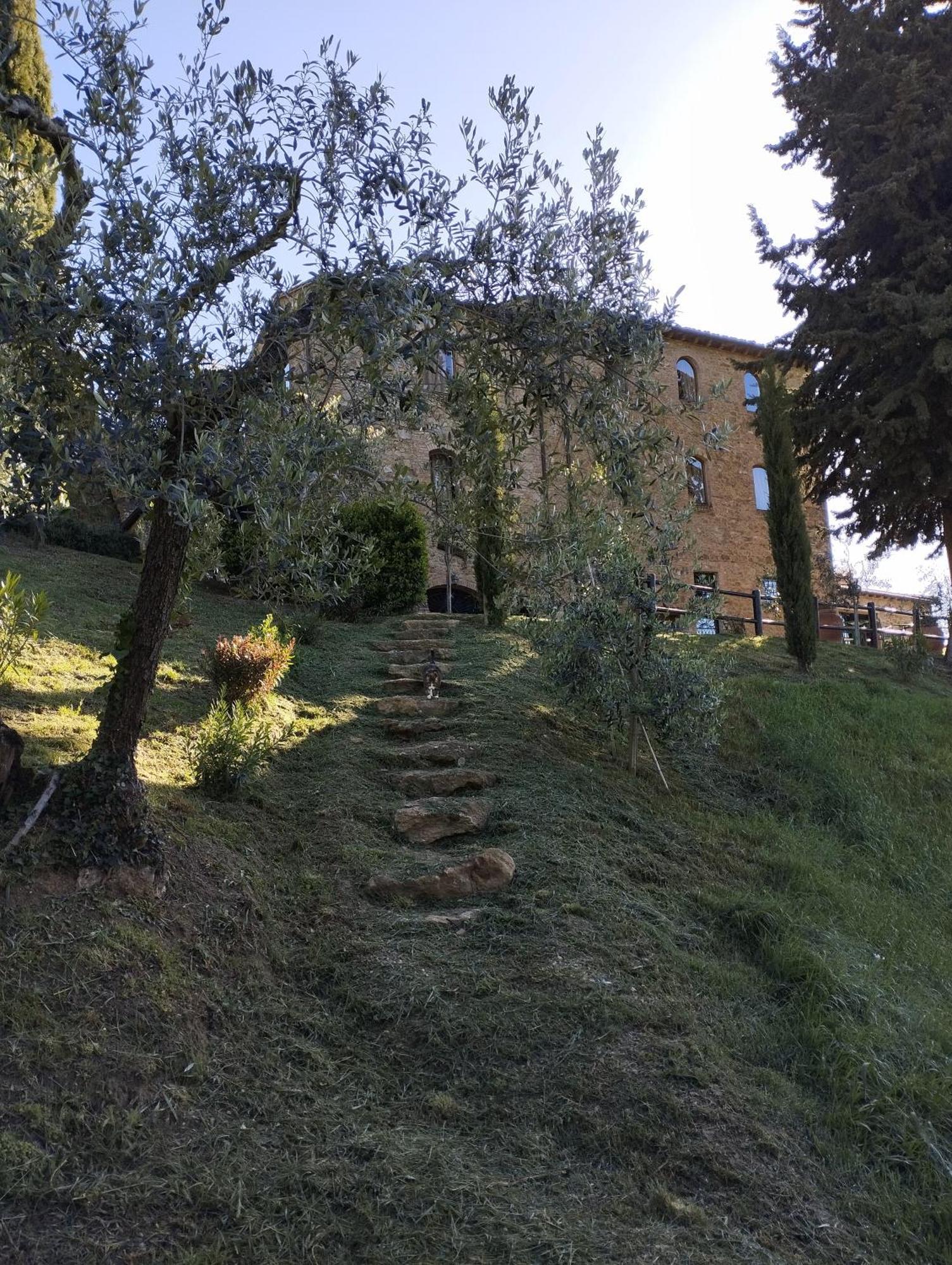 Rocca Degli Olivi Bed & Breakfast San Gimignano Dış mekan fotoğraf