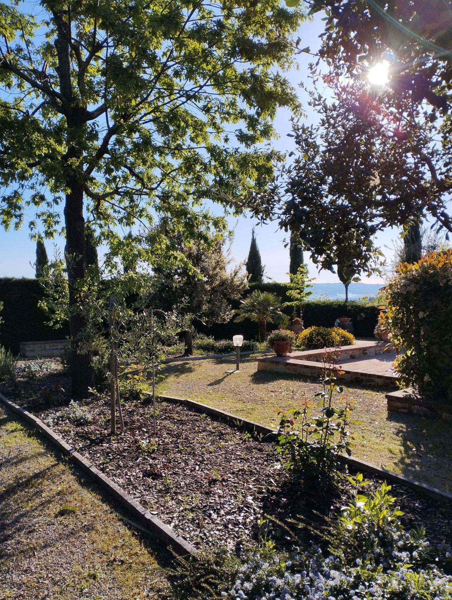 Rocca Degli Olivi Bed & Breakfast San Gimignano Dış mekan fotoğraf