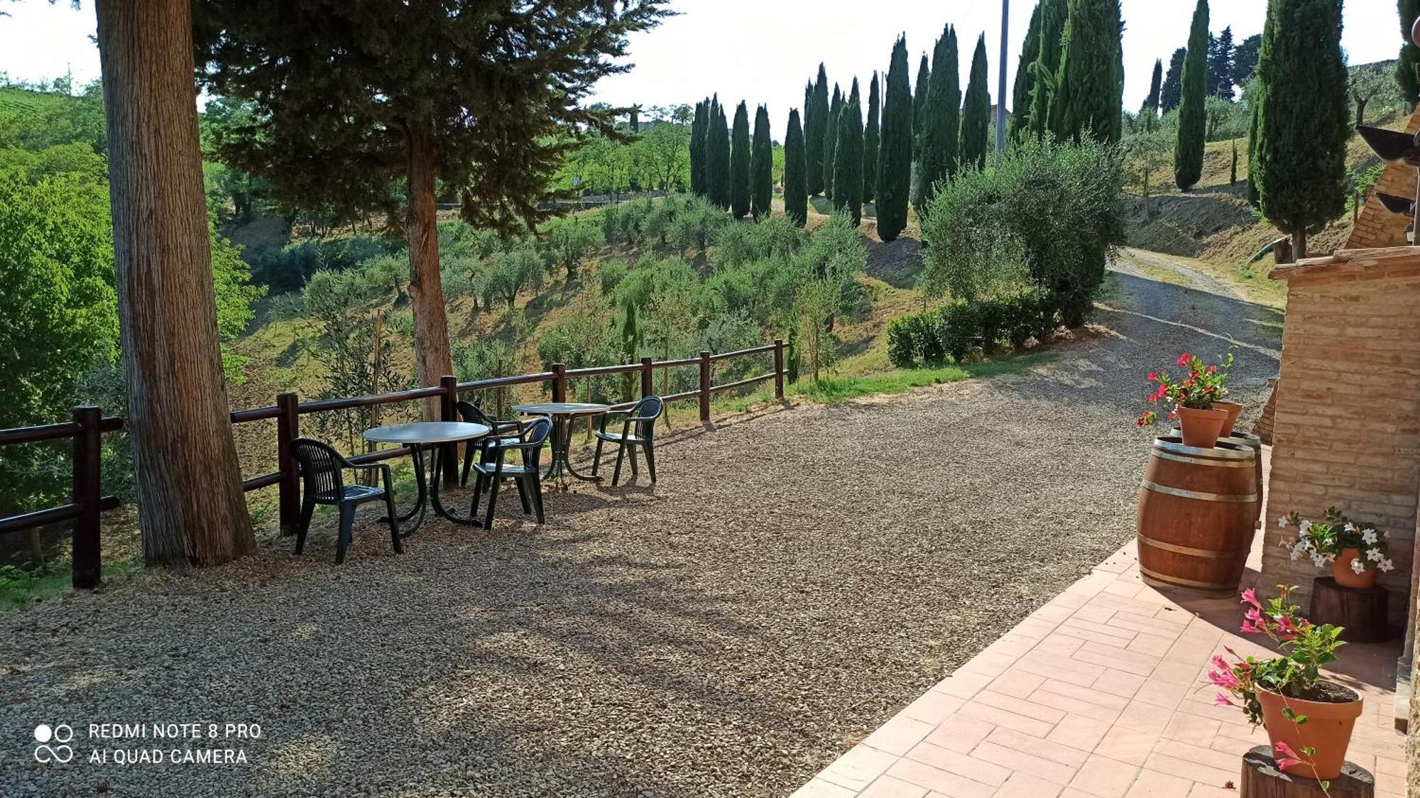 Rocca Degli Olivi Bed & Breakfast San Gimignano Oda fotoğraf