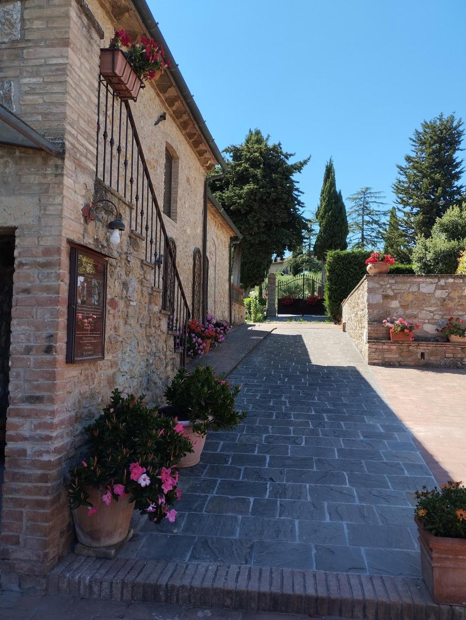 Rocca Degli Olivi Bed & Breakfast San Gimignano Dış mekan fotoğraf