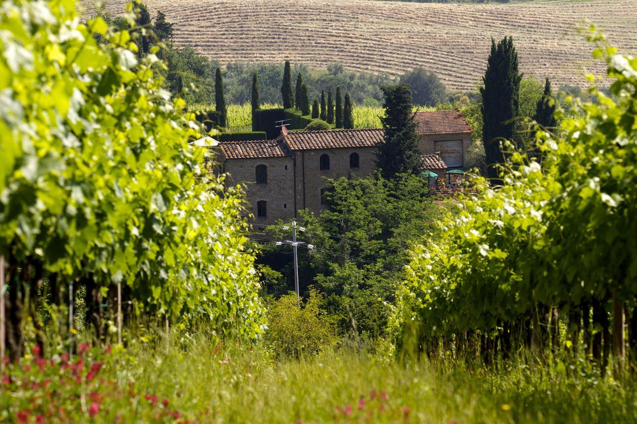 Rocca Degli Olivi Bed & Breakfast San Gimignano Dış mekan fotoğraf