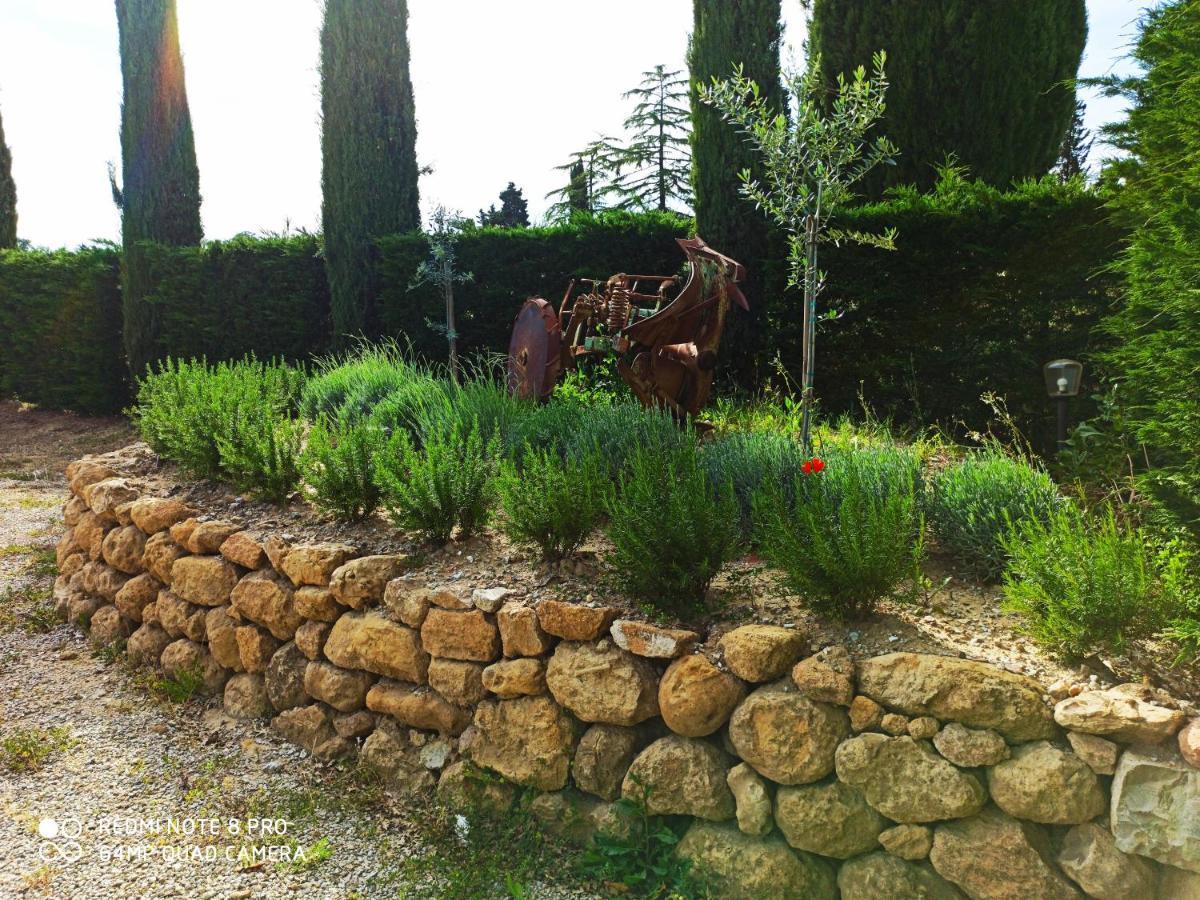 Rocca Degli Olivi Bed & Breakfast San Gimignano Dış mekan fotoğraf