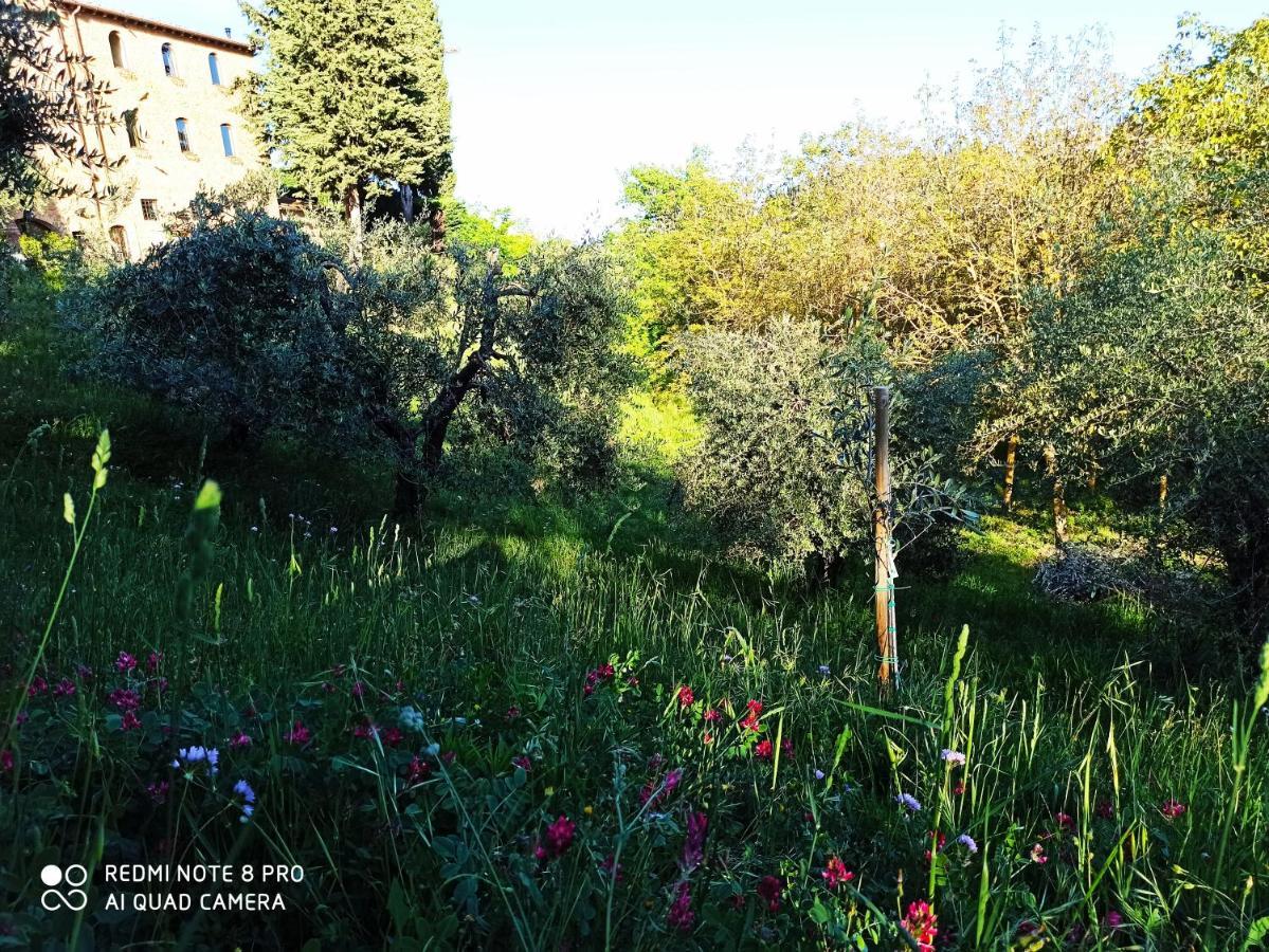 Rocca Degli Olivi Bed & Breakfast San Gimignano Dış mekan fotoğraf