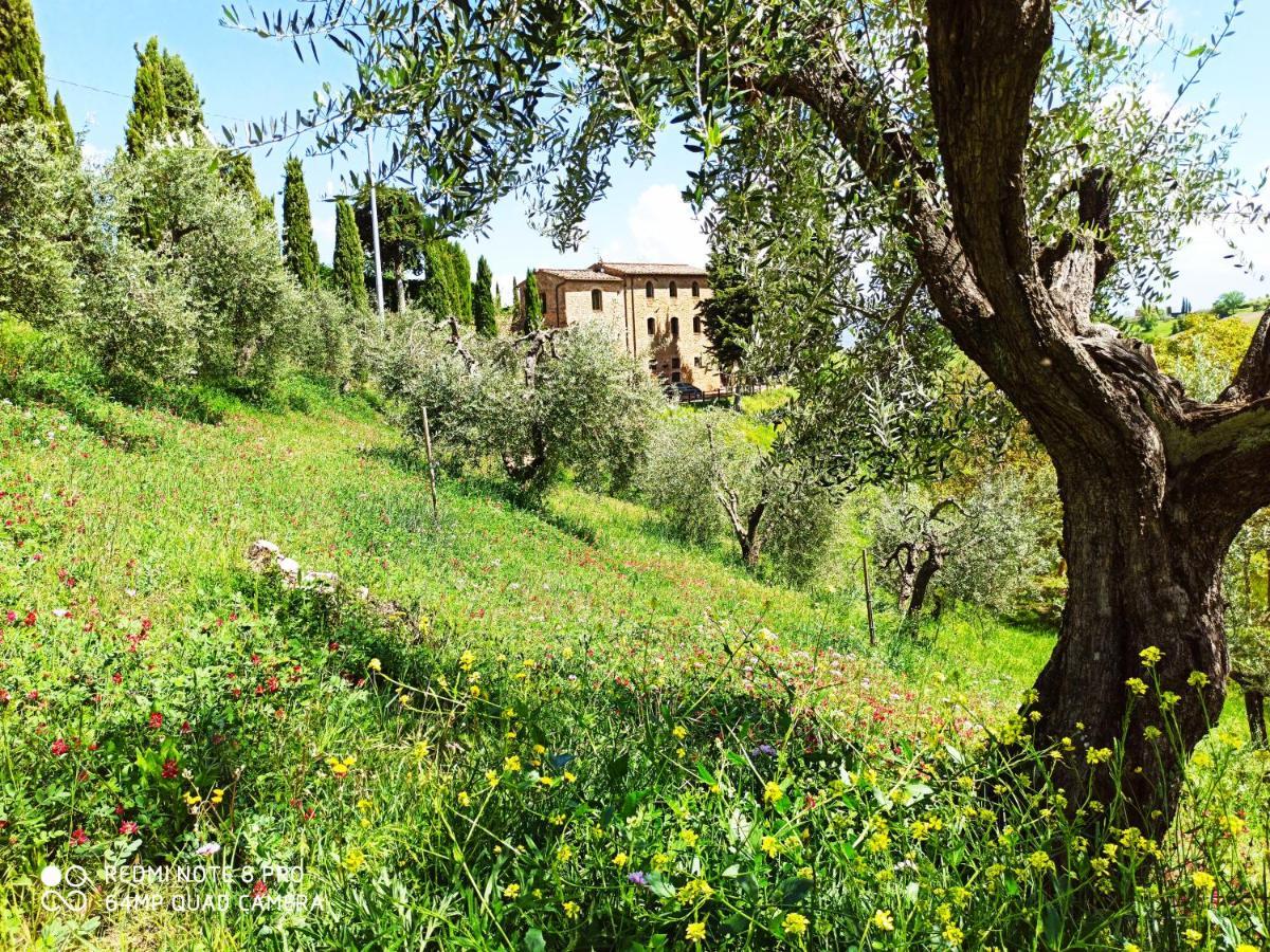 Rocca Degli Olivi Bed & Breakfast San Gimignano Dış mekan fotoğraf